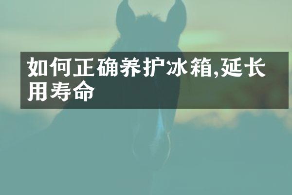 如何正确养护冰箱,延长使用寿命