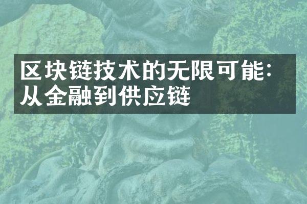 区块链技术的无限可能：从金融到供应链