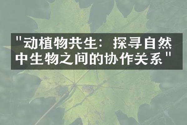 "动植物共生：探寻自然界中生物之间的协作关系"