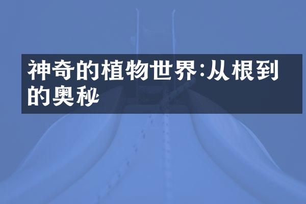 神奇的植物世界:从根到叶的奥秘
