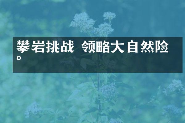 攀岩挑战 领略大自然险峰