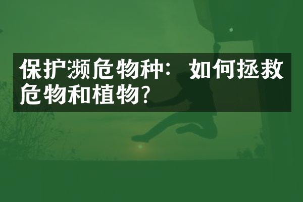 保护濒危物种：如何拯救瀕危動物和植物？