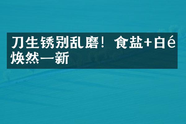 刀生锈别乱磨！食盐+白醋焕然一新