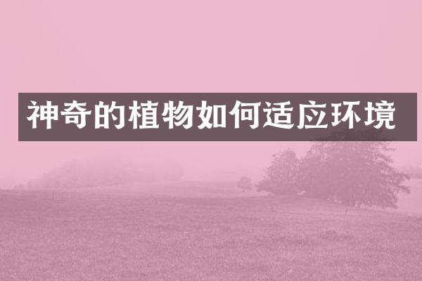 神奇的植物如何适应环境