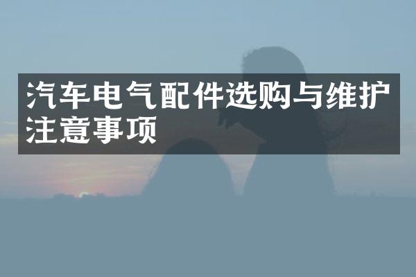 汽车电气配件选购与维护注意事项