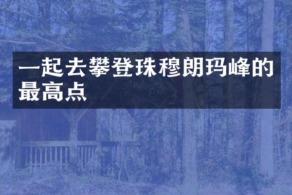 一起去攀登珠穆朗玛峰的最高点