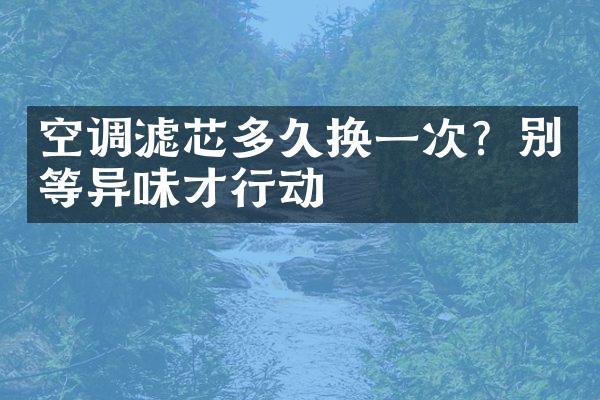 空调滤芯多久换一次？别等异味才行动