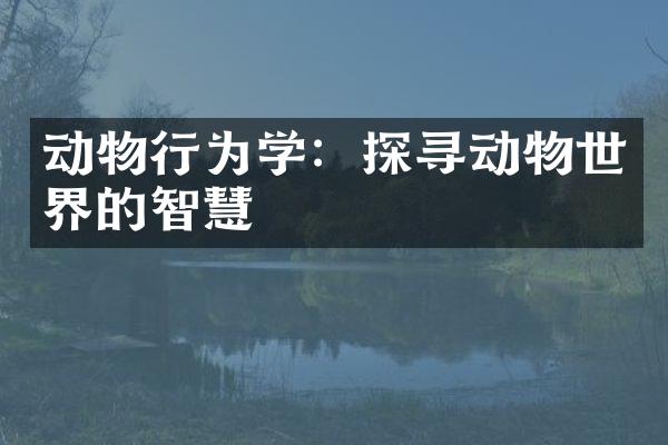 动物行为学：探寻动物世界的智慧