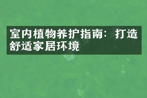 室内植物养护指南：打造舒适家居环境