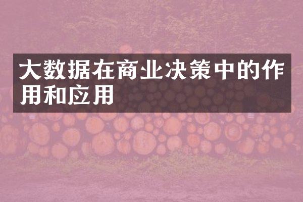 大数据在商业决策中的作用和应用