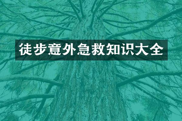 徒步意外急救知识大全