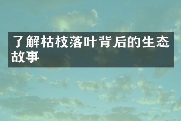 了解枯枝落叶背后的生态故事