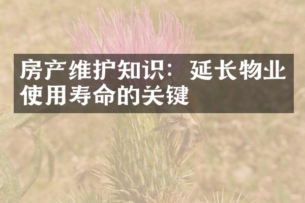 房产维护知识：延长物业使用寿命的关键
