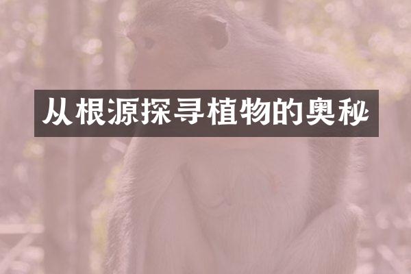 从根源探寻植物的奥秘